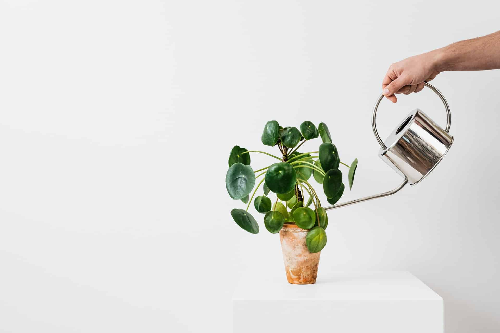 Définition et étapes d’une stratégie de lead nurturing performante
