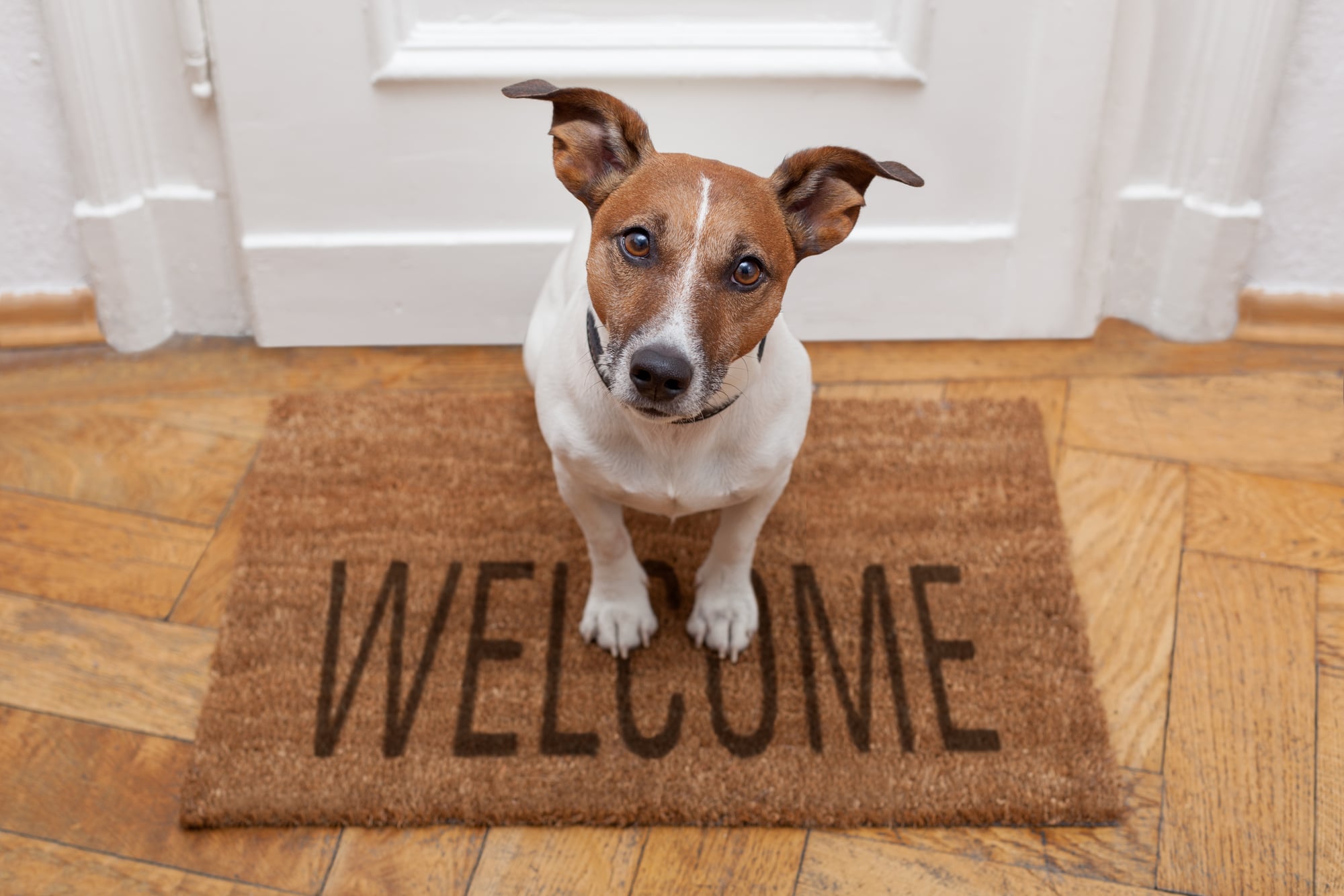 10 conseils pour une homepage efficace sur votre site web